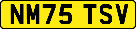 NM75TSV