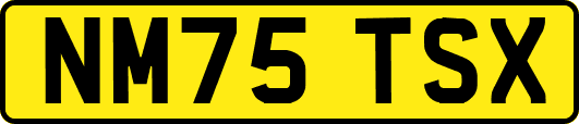 NM75TSX