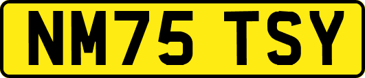 NM75TSY