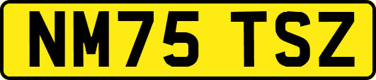 NM75TSZ