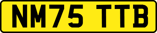 NM75TTB