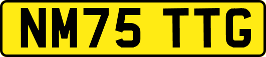 NM75TTG