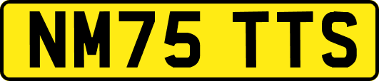 NM75TTS