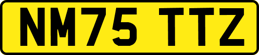 NM75TTZ