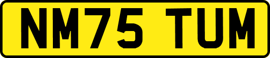 NM75TUM