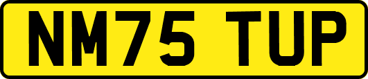 NM75TUP