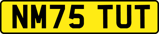 NM75TUT