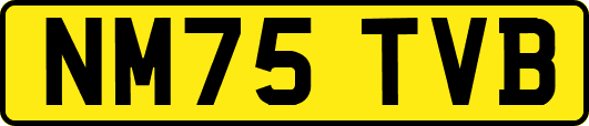 NM75TVB