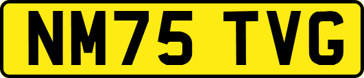 NM75TVG