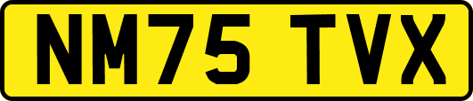NM75TVX
