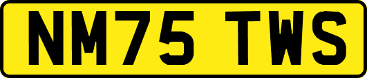 NM75TWS
