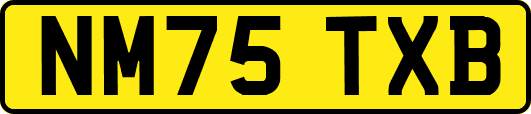 NM75TXB