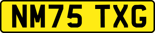 NM75TXG
