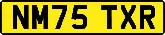 NM75TXR