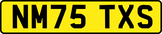 NM75TXS