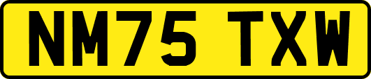 NM75TXW