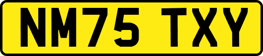 NM75TXY