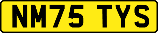 NM75TYS