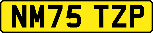 NM75TZP