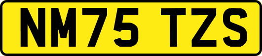 NM75TZS