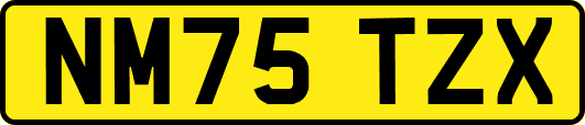 NM75TZX
