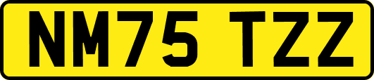 NM75TZZ