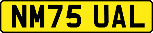 NM75UAL