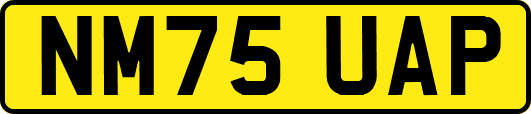 NM75UAP