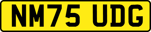NM75UDG