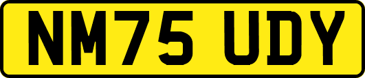 NM75UDY