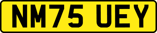 NM75UEY