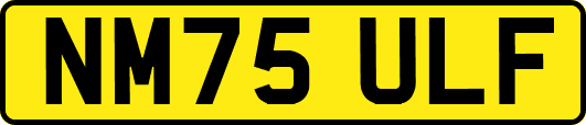 NM75ULF