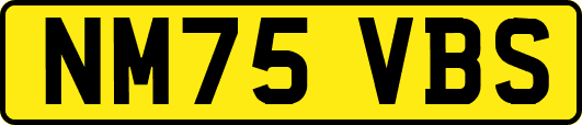 NM75VBS