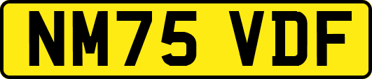 NM75VDF