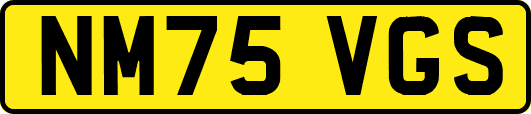 NM75VGS