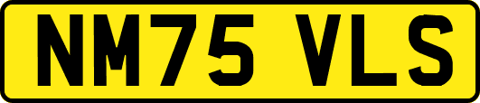 NM75VLS