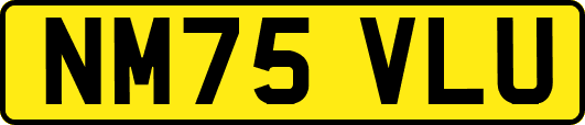 NM75VLU