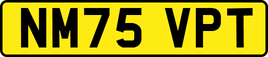 NM75VPT
