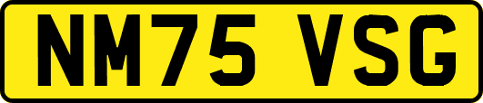 NM75VSG