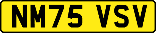 NM75VSV
