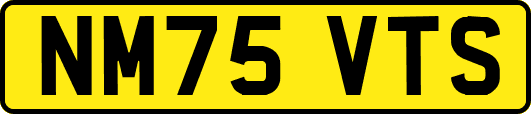 NM75VTS