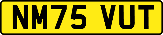 NM75VUT