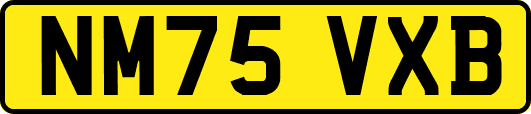 NM75VXB