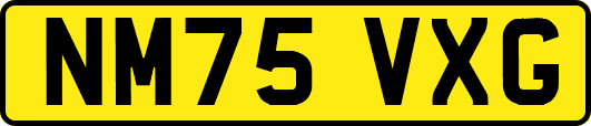 NM75VXG