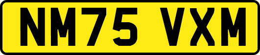 NM75VXM