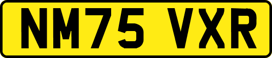 NM75VXR