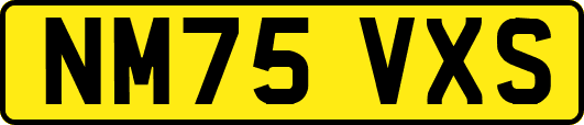 NM75VXS