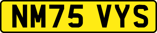 NM75VYS