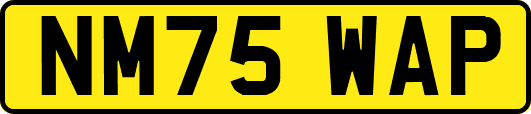 NM75WAP