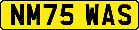 NM75WAS